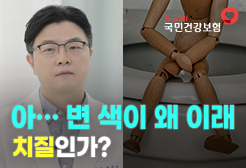 [국민건강보험공단] 아.. 변 색이 왜 이래 치질인가?