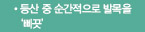 등산 중 순간적으로 발목을 '삐끗'