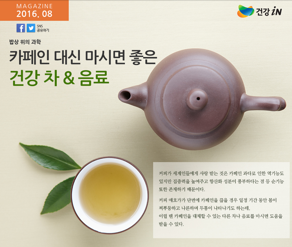 건강iN 매거진 카페인 대신 마시면 좋은 건강 차 & 음료