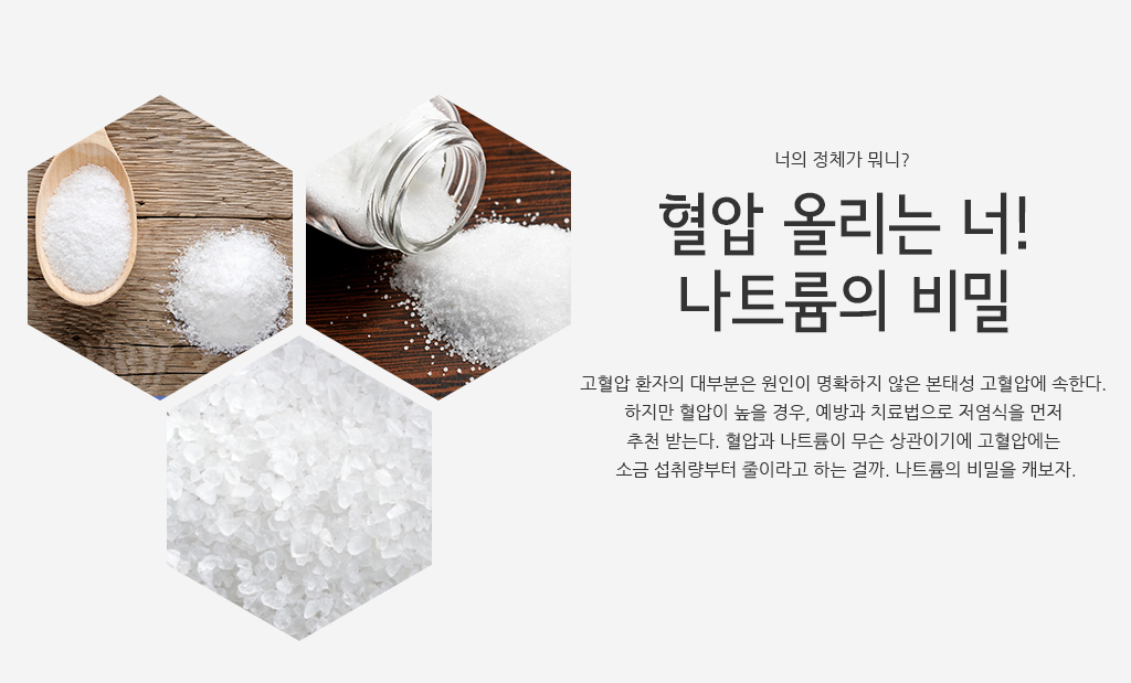 너의 정체가 뭐니?-혈압 올리는 너! 나트륨의 비밀