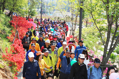 2013 건강걷기대회 사진