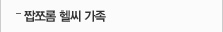짭쪼롬 헬씨가족
