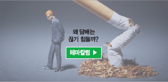 테마칼럼