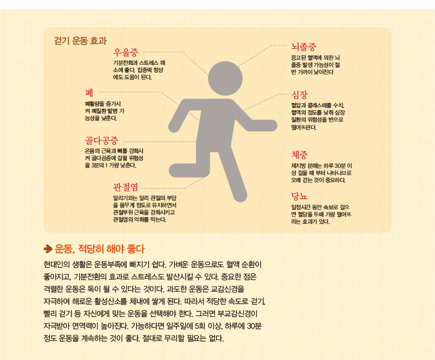 걷기 운동 효과