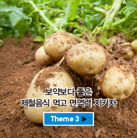 Theme 3