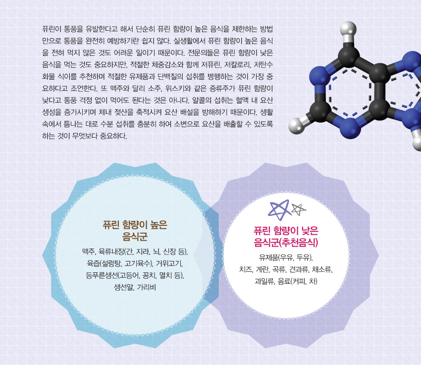 퓨린이 통풍을 유발