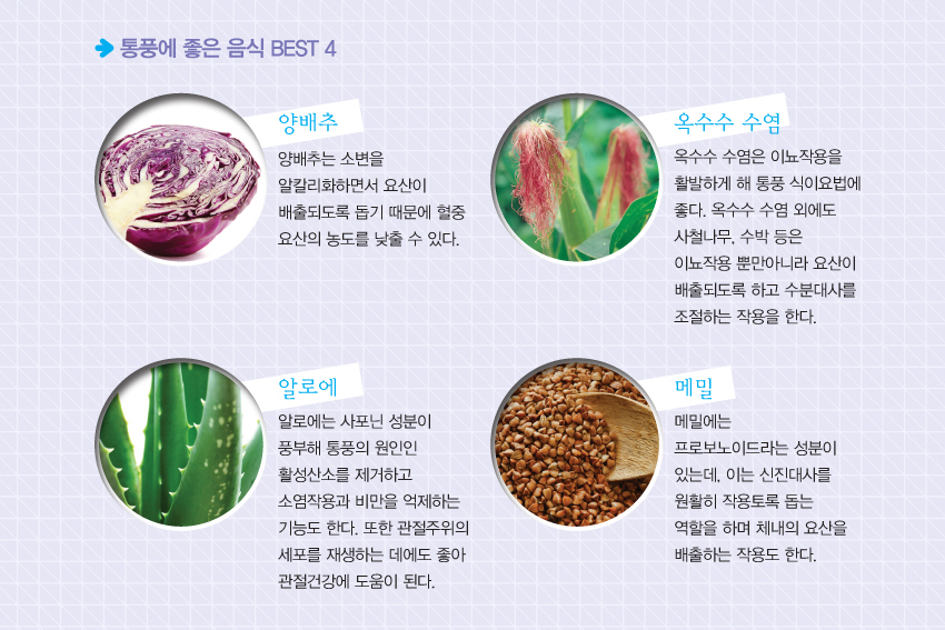 통풍에 좋은음식 best4