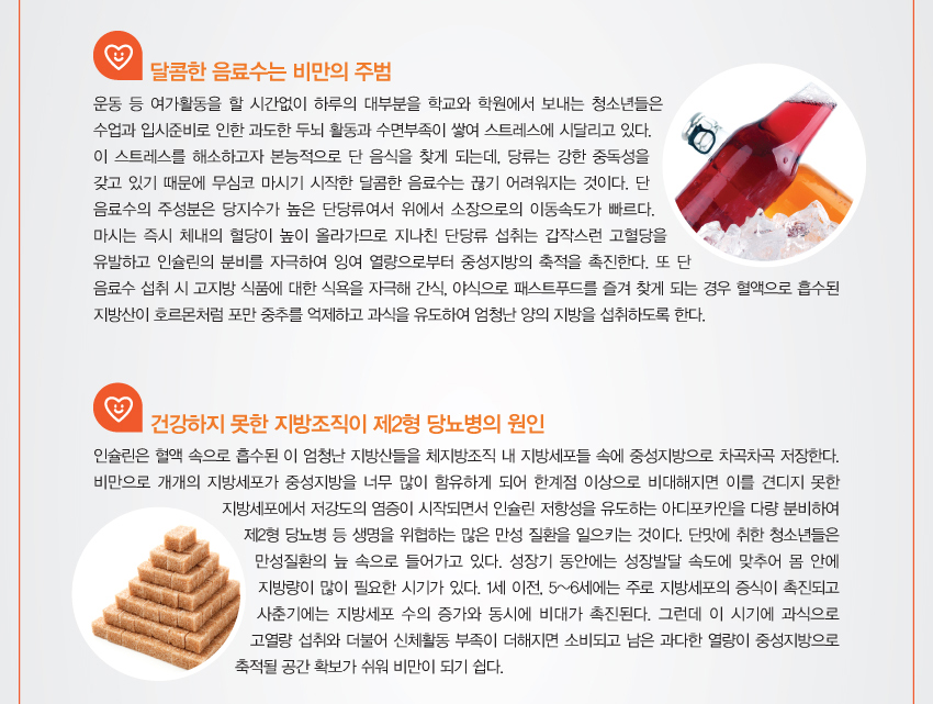 달콤한 음료수는 비만의 주범