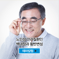 테마칼럼