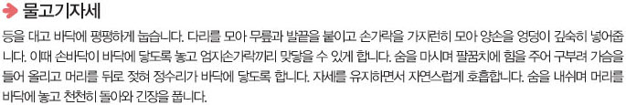 물고기자세