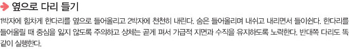 옆으로 다리 들기