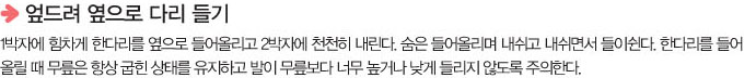 엎드려 옆으로 다리들기