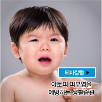 테마칼럼