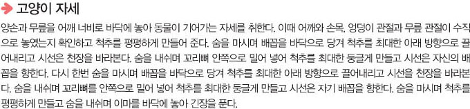 고양이자세