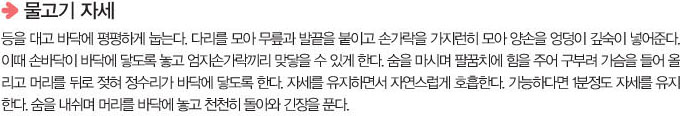 물고기자세