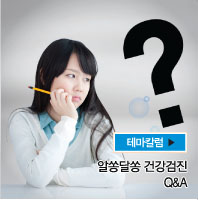 테마칼럼