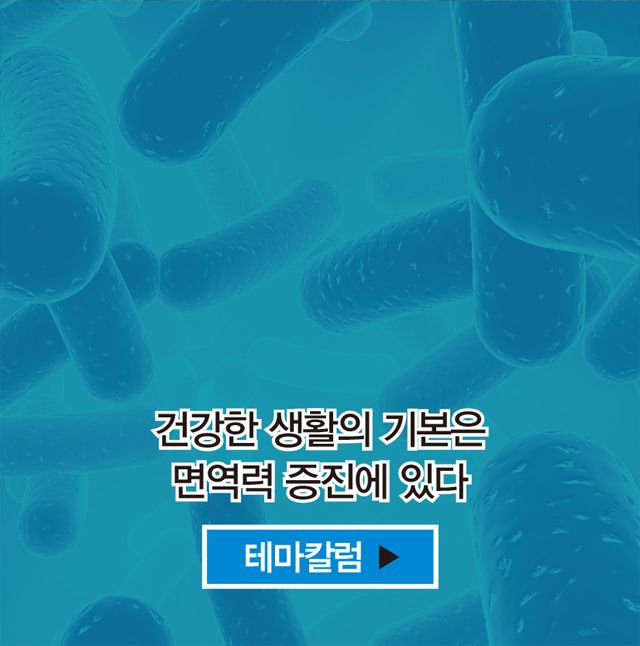 테마칼럼