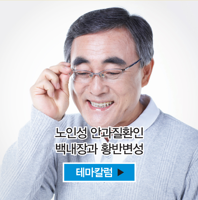 테마칼럼