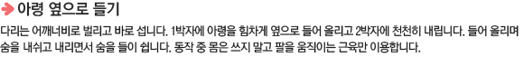 아령 옆으로 들기