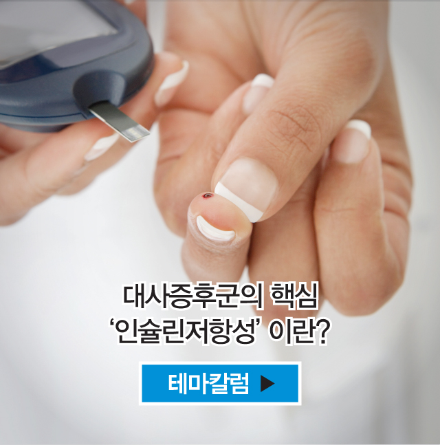 테마칼럼