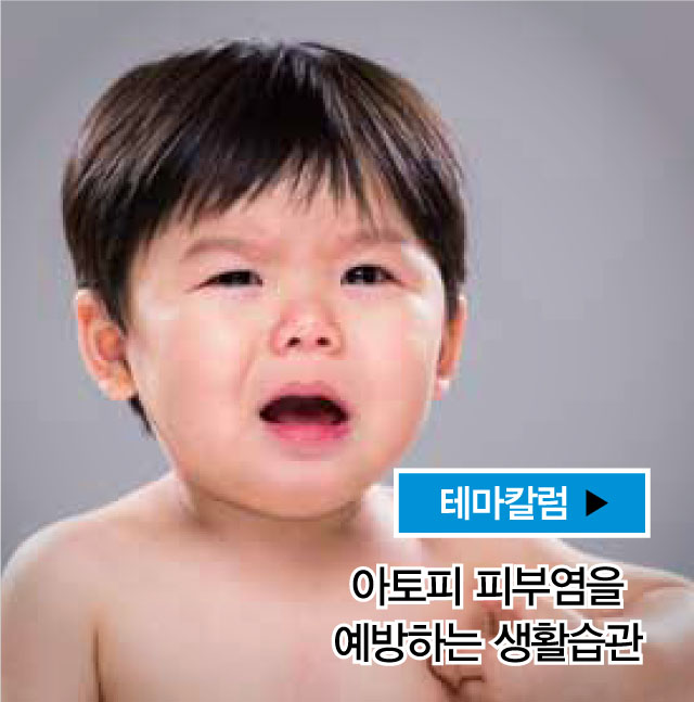 테마칼럼