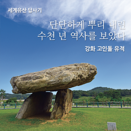 세계유산 답사기 - 단단하게 뿌리 내린 수천 년 역사를 보았다 강화 고인돌 유적