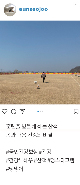 인스타그램 피드 : Eunseojoo 훈련을 방불케 하는 산책 몸과 마음 건강의 비결 #국민건강보험 #건강 #건강노하우 #산책 #멍스타그램 #댕댕이 