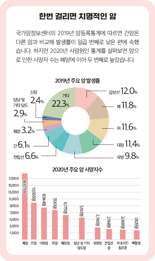 2019년 주요 암 발생률, 2020년 주요 암 사망자수 그래프 이미지