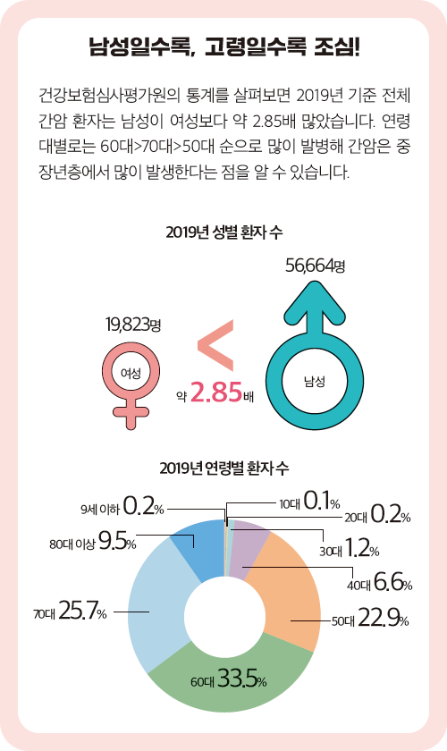 2019년 성별 환자 수를 비교한 그래프와 2019년 연령별 환자 수를 표현한 그래프 이미지