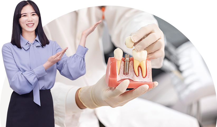 이 모형으로 치과 시술을 설명하는 의료진 이미지와 치과 시술 등록제를 설명하는 국민건강보험공단 의료비지원실 산정특례운영부 박은화 대리 이미지