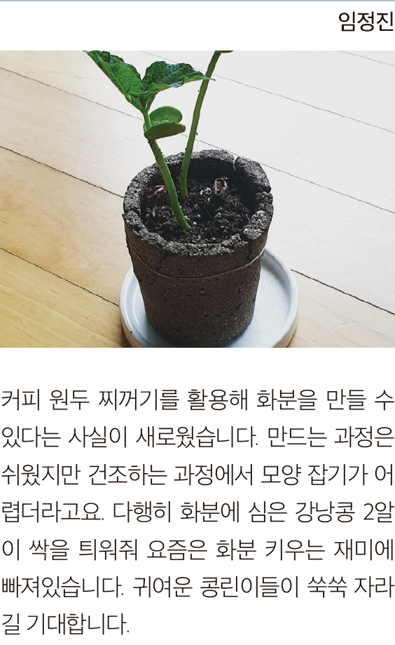 임정진님의 친환경 커피박 화분 만들기 후기 이미지