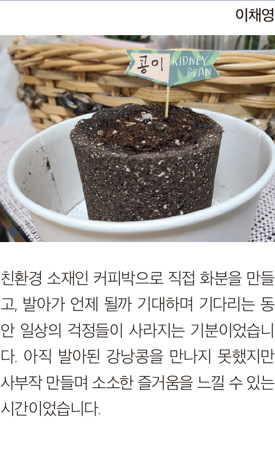 이채영님의 친환경 커피박 화분 만들기 후기 이미지