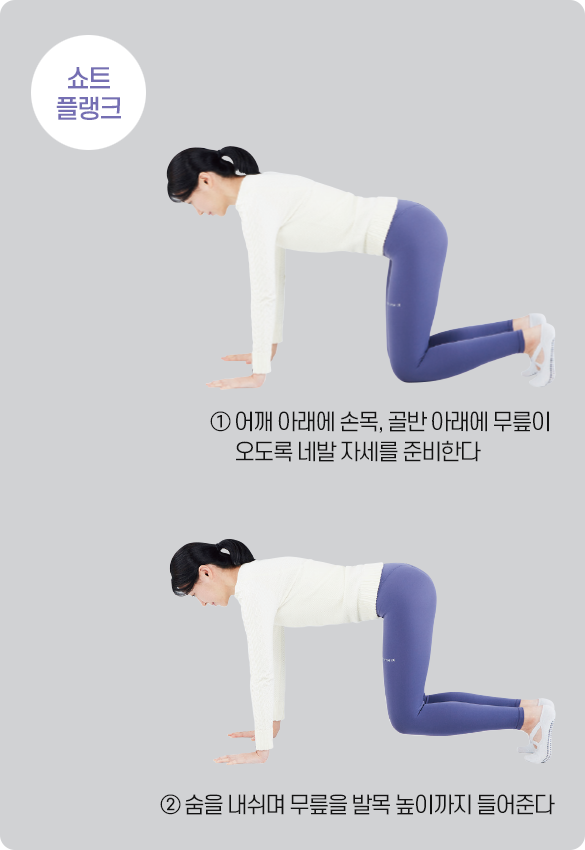 쇼트 플랭크를 취하는 필라테스 강사 이서연