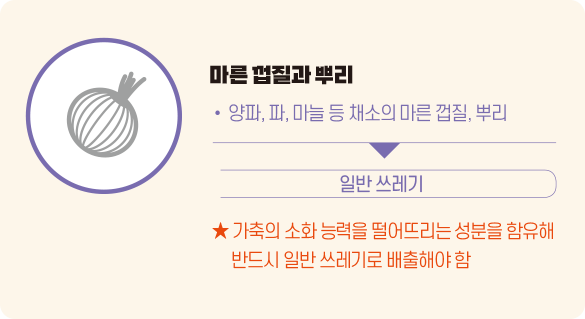 마른 껍질과 뿌리