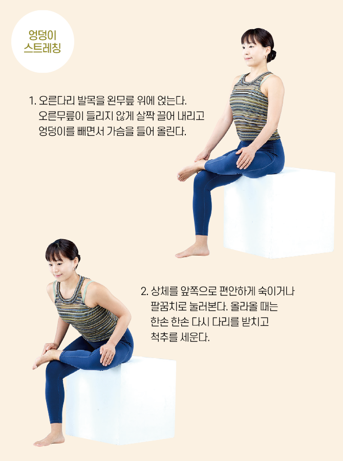 요가강사 안설희의 엉덩이 스트레칭 강의 사진