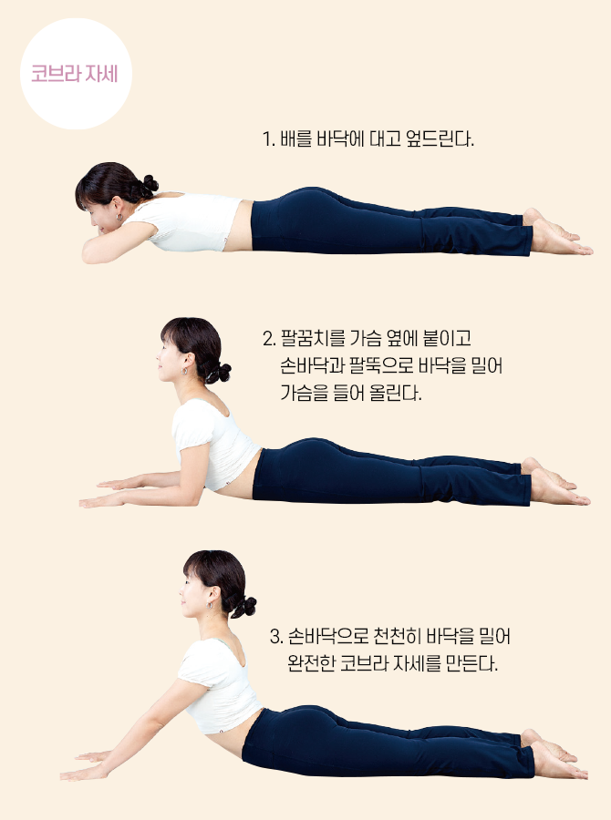 요가강사 안설희의 어깨 스트레칭 강의 사진