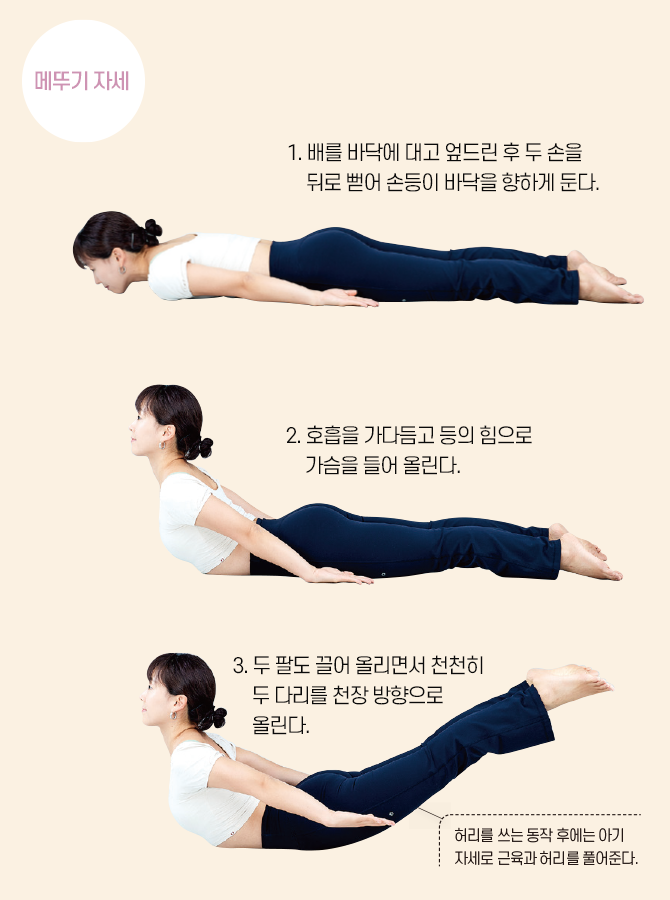 요가강사 안설희의 상체 비틀기 강의 사진