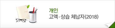 개인 고액&middot;상습 체납자(2018)