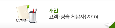 개인 고액&middot;상습 체납자(2016)