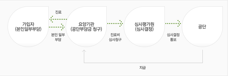 요양급여 체계도 관련내용(다음 내용 참조)