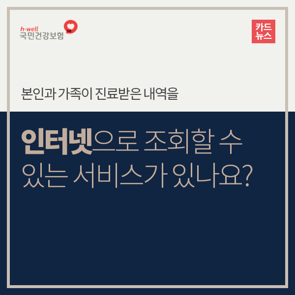 진료받은 내역 인터넷 조회