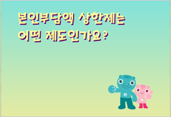 본인부담액 상한제는 어떤 제도인가요?